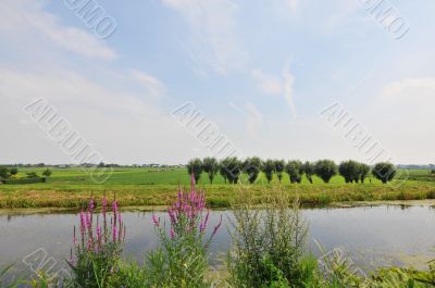 Agriculture landscape