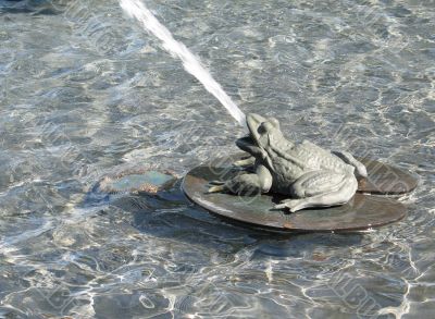 frog water fountain