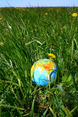 globe in grass globe in grass