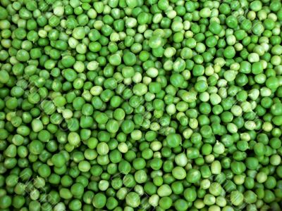 green pea