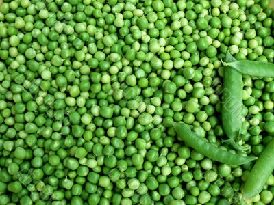 green pea