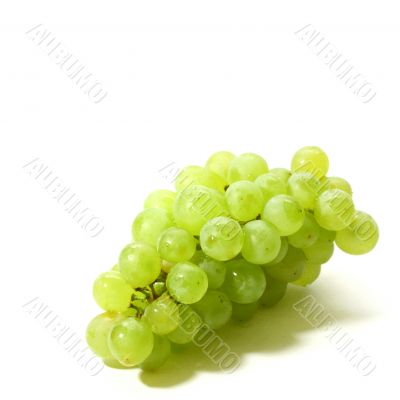 isolated grape