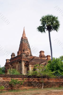 Brick pagoda and palm tree in Bagan, Myanmar