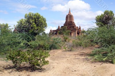 Footpath to the pagoda