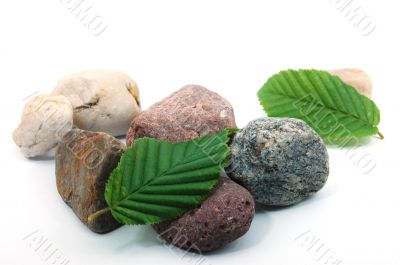 Stones and Leaves