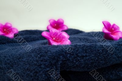 Aroma Therapy Aroma Therapy