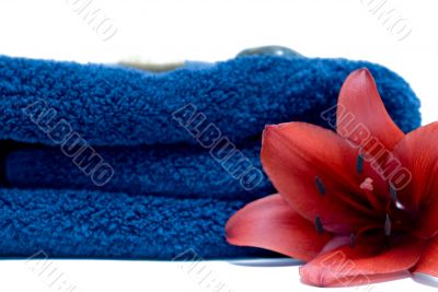 Spa Towel