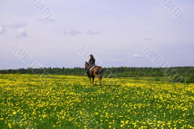 horse rider