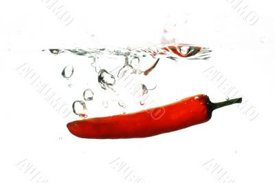 chili pepper cook