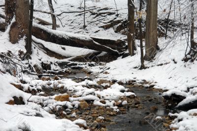Winter in Washington DC, Rock Creek park Winter in Washington DC, Rock Creek park