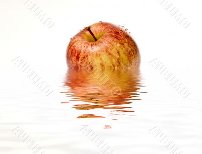 Apple Apple