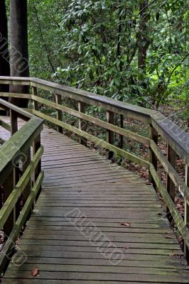 Wooden Pathway