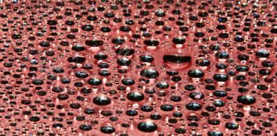 water-drops on red water-drops on red