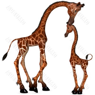 Toon Giraffe