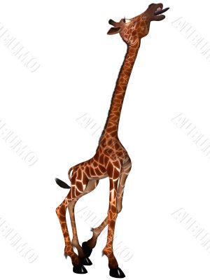 Toon Giraffe