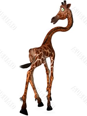 Toon Giraffe Toon Giraffe