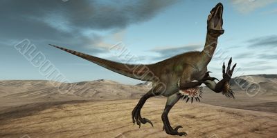 Utahraptor ostrommayorum Utahraptor ostrommayorum
