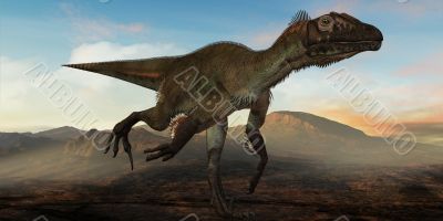 Utahraptor ostrommayorum