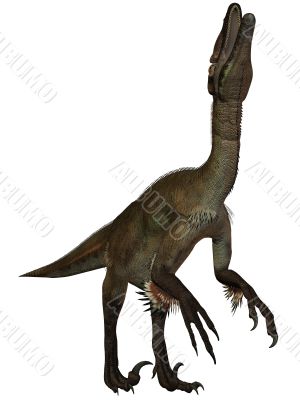 Utahraptor ostrommayorum