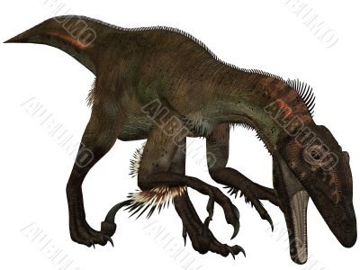 Utahraptor ostrommayorum