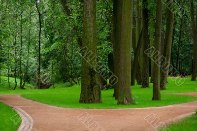 In a summer garden In a summer garden