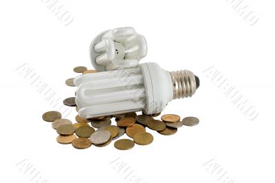 Two electric energy-saving light bulbs