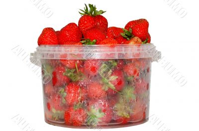 The cooled strawberry with dew drops in special vacuum packing