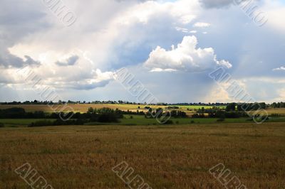 Field shined with the sun Field shined with the sun