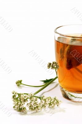 Glass of valerian tea