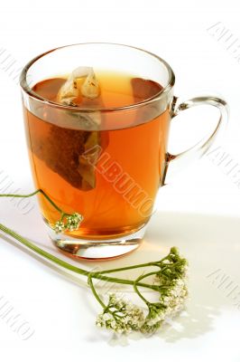Sleeping Tea Sleeping Tea