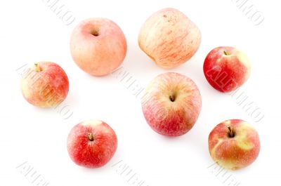 color apple on white