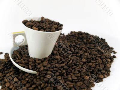 Coffee Cup Coffee Cup