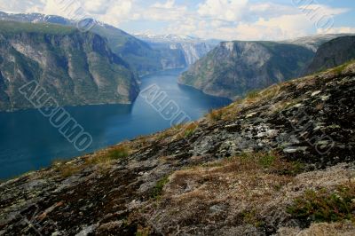Fjord Scenic, Norway