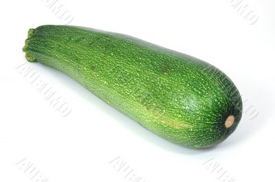Zucchini Zucchini