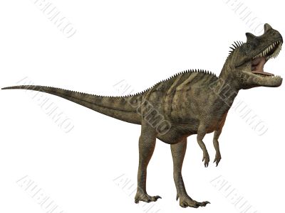 Ceratosaurus nasicornis-3D Dinosaur