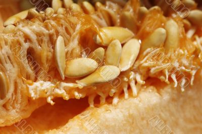 Pulp of a melon