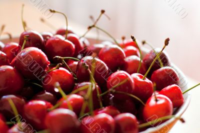 fresh cherries