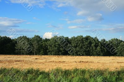 Landscape with cloudy sky