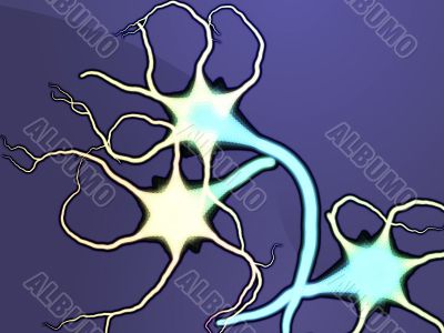 Nerve cells illustration