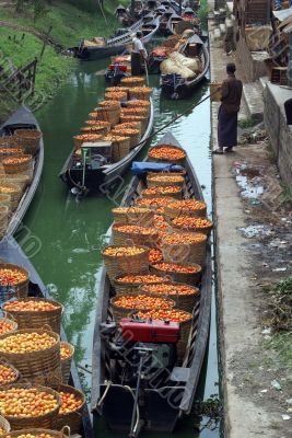 Boats with tomato