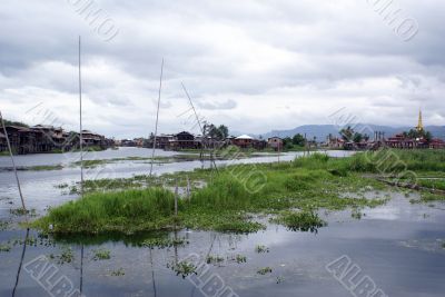 Inle Inle
