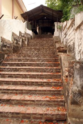 Red petals on the staircase