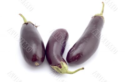 aubergine on white