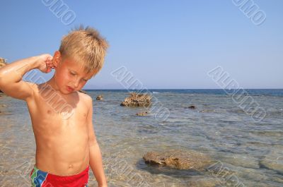 Beach Boy