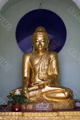 Buddha Buddha
