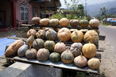 Pumpkins for sale