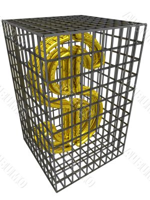 Gold dollar in a steel cage.