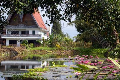 House and lotuses House and lotuses