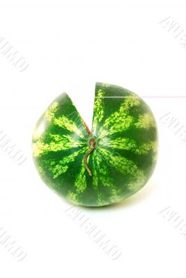 watermelon