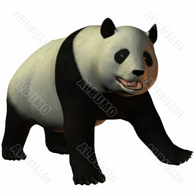 Toon Panda